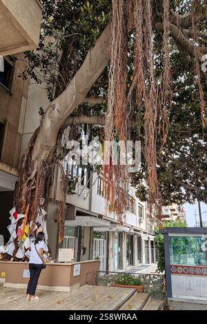 Rapport de l'ensemble pour voyager en Sicile avec transport par mer, visite de la ville de Palerme et séjour à Gioiosa Marea à TH Capo Calava Village et excursion à Tindari et Eolie îles Lipari et Vulcano. Sur cette photo Banque D'Images