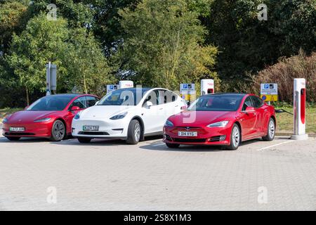 Tels Model 3, Tesla Model y et Tesla Model 3 en rouge et blanc garés ensemble sur des chargeurs de voitures électriques publics en Angleterre, au Royaume-Uni, 2024 Banque D'Images
