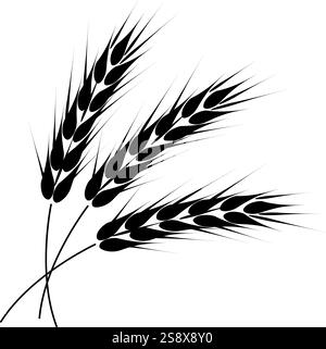 Illustration vectorielle des épis de blé. Isolé sur fond blanc. Illustration de Vecteur