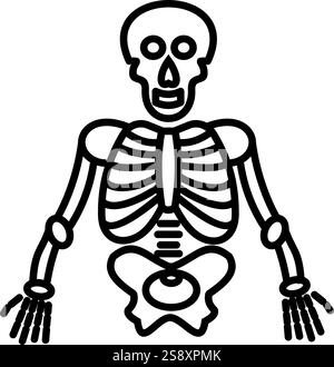 squelette humain, squelette, os, os, médical, anatomie, soins de santé, humain, femme, corps Illustration de Vecteur