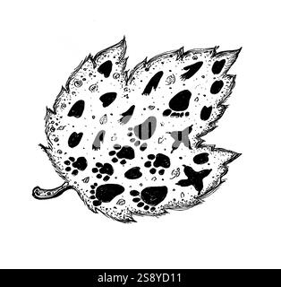 La feuille est remplie de divers éléments. Empreintes de pattes animales de différentes formes, feuilles, décor. Doodle. La feuille est dessinée avec un contour noir et un remplissage. Isolé Banque D'Images
