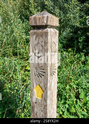Panneau sur le chemin de St Michael le Camino Inglés à Lelant, Cornwall soulignant les itinéraires et les directions de marche Banque D'Images