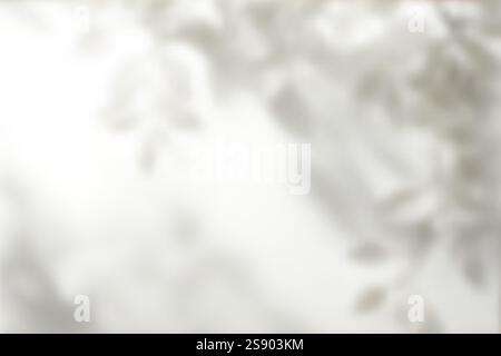 Botanical Shadow Overlay avec lumière douce pour la marque moderne, les invitations de mariage et les projets de design minimaliste. Illustration vectorielle. Illustration de Vecteur