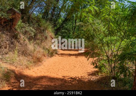 Impression autour du sentier ocre près de Roussillon, une commune du département du Vaucluse de la région Provence dans le sud de la France Banque D'Images