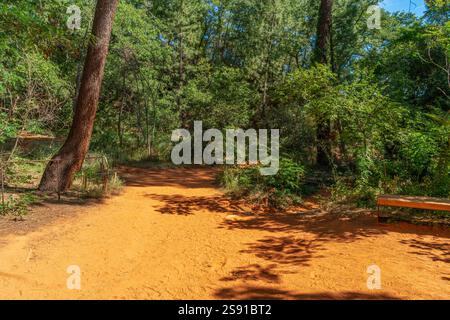 Impression autour du sentier ocre près de Roussillon, une commune du département du Vaucluse de la région Provence dans le sud de la France Banque D'Images