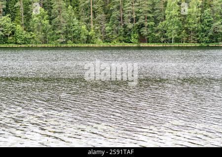 Paysage de la réserve paysagère de Viitna, Estonie Banque D'Images