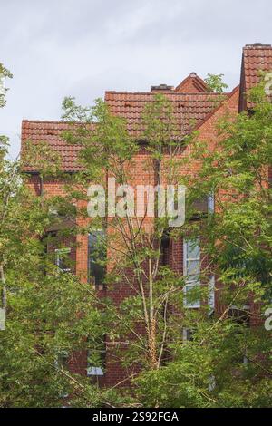 Ancien bâtiment résidentiel en briques, Lueneburg, basse-Saxe, Allemagne, Europe Banque D'Images