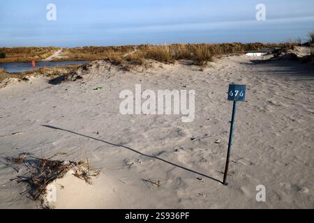 PRODUCTION - 24 janvier 2025, Mecklembourg-Poméranie occidentale, Prerow : emplacements vides au camping dans les dunes de la mer Baltique. L’ancien opérateur, Regenbogen AG, doit quitter certaines parties du camping à la suite d’une décision de justice. Le tribunal de district de Stralsund n'a toujours pas statué sur le litige concernant une autre région. Photo : Bernd Wüstneck/dpa Banque D'Images