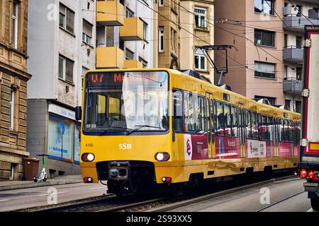 Stuttgart, Bade-Württemberg, Allemagne - 23 janvier 2025 : tramway jaune de Stuttgarter Straßenbahnen AG SSB à Stuttgart, symbole des transports publics de la ville *** Gelbe Straßenbahn der Stuttgarter Straßenbahnen AG SSB à Stuttgart, ein Symbol des öffentlichen Nahverkehrs ÖPNV in der Stadt Banque D'Images