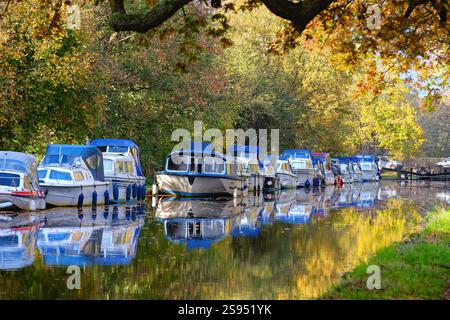 Le canal de navigation de la rivière Wey un jour d'automne coloré New Haw Surrey Angleterre Royaume-Uni Banque D'Images