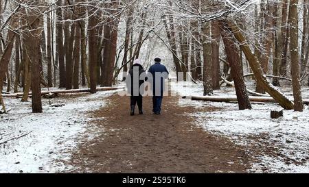 Couple mûr allant sur le chemin enneigé à la forêt de pins d'hiver. Mari senior et femme marchant à travers le sentier dans la forêt de conifères. Ancienne paire de Banque D'Images