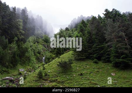 Petite cascade dans les montagnes brumeuses des Pyrénées avec une végétation verdoyante Banque D'Images
