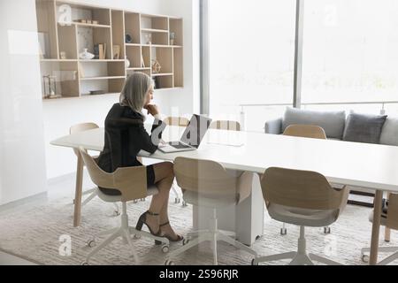 Femme d'affaires concentrée travaillant sur ordinateur portable assis dans la salle de conférence Banque D'Images