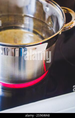 Casserole en acier inoxydable remplie d'eau préparée pour la cuisson sur une cuisinière à induction Banque D'Images