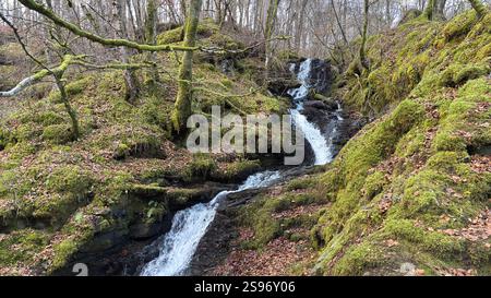 Les Birks of Aberfeldy célèbre promenade le long de la Moness Burn avec des cascades et des arbres anciens. Où Robert Burns a écrit sa chanson d'amour écossaise. magnifique Banque D'Images