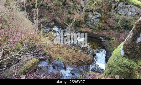 Les Birks of Aberfeldy célèbre promenade le long de la Moness Burn avec des cascades et des arbres anciens. Où Robert Burns a écrit sa chanson d'amour écossaise. magnifique Banque D'Images