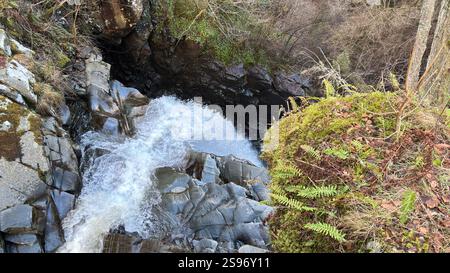 Les chutes de Moness à la célèbre promenade des Birks d'Aberfeldy le long du Moness Burn. Cascade et arbres anciens. Paysage couvert de mousse en Écosse Banque D'Images