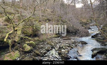 Les Birks of Aberfeldy célèbre promenade le long de la Moness Burn avec des cascades et des arbres anciens. Où Robert Burns a écrit sa chanson d'amour écossaise. magnifique Banque D'Images