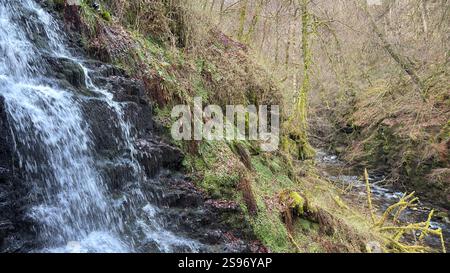 Les Birks of Aberfeldy célèbre promenade le long de la Moness Burn avec des cascades et des arbres anciens. Où Robert Burns a écrit sa chanson d'amour écossaise. magnifique Banque D'Images