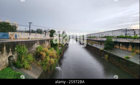 24 janvier 2025, Sao Paulo, Sao Paulo, Brésil : Sao Paulo (SP), 01/24/2025 Météo/pluie - niveau de la rivière Tamanduatei, région de la station Tamanduatei, dans l'après-midi du lundi 24 janvier 2025. (Foto : Milene Cardoso/Thenews2/Zumapress) (crédit image : © Milene Cardoso/TheNEWS2 via ZUMA Press Wire) USAGE ÉDITORIAL SEULEMENT! Non destiné à UN USAGE commercial ! Crédit : ZUMA Press, Inc/Alamy Live News Banque D'Images