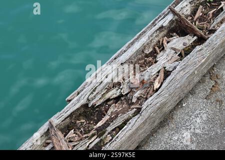 le boulon rouillé dépasse de la poutre en bois pourrie Banque D'Images