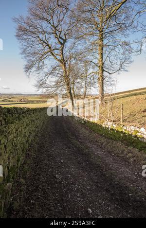 Sentier public vers Little Newton à long Preston. Il est important de continuer à utiliser de tels chemins sinon ils peuvent être perdus. Banque D'Images
