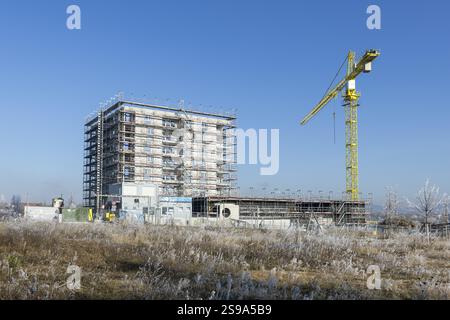Immeuble de grande hauteur en construction avec grue jaune, entouré d'une végétation brune sous ciel bleu, construction de logements, nouvelle construction de 50 f Banque D'Images
