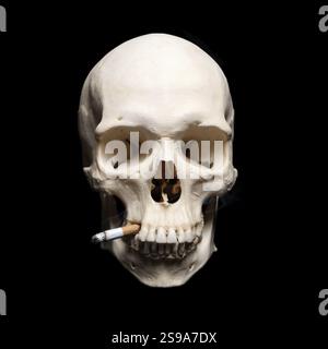 Symboliser les dangers du tabagisme. Crâne humain avec cigarette, ST. Pétersbourg, Russie, Europe Banque D'Images