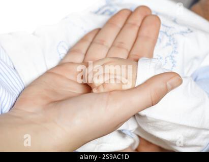 Bébés mignons bébés tenant ici la main de la mère Banque D'Images
