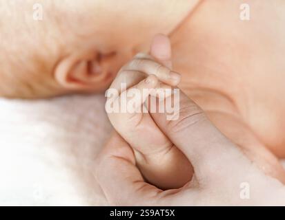 Infant cute babies holding here mother's hand Banque D'Images