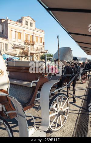 Calèches tirées par des chevaux devant des bâtiments dans la vieille ville d'Egine sous le soleil du soir, Grèce Banque D'Images