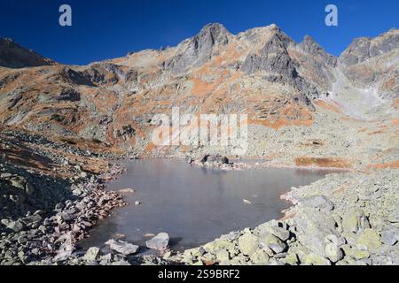 High Tatras - Slovaquie - le regard vers le lac Zabie pleso avec les sommets de Zabia veza et Rysy en arrière-plan à la lumière du matin. Banque D'Images