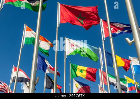 De nombreux pays du monde brandissent des drapeaux nationaux sur le vent, avec des bannières Djibouti, Maroc et Sénégal au premier plan, Doha, Qatar Banque D'Images