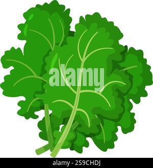 Illustration vibrante de feuilles de chou vert frais, présentant des textures détaillées et des couleurs riches. Parfait pour promouvoir une alimentation saine, la nutrition et les concepts d'aliments biologiques Illustration de Vecteur