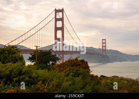 L'emblématique Golden Gate Bridge traverse l'eau, entouré de verdure luxuriante et de collines ondulantes. Le temps couvert crée une atmosphère sereine. Banque D'Images