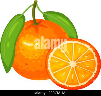 Une orange mûre avec des feuilles vertes éclatantes est présentée à côté d'une section parfaitement tranchée, révélant la texture succulente et juteuse et les segments du fruit Illustration de Vecteur
