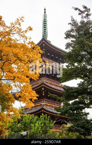 Le Kanei-ji Gojunoto (pagode à cinq étages) ou Kyu Kaneiji à cinq étages à Ueno, Tokyo, Japon avec des feuilles d'automne. Banque D'Images