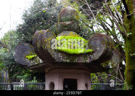 Lanterne en pierre recouverte de mousse au sanctuaire Ueno Toshogu, situé dans le parc Ueno à Tokyo, au Japon. Banque D'Images