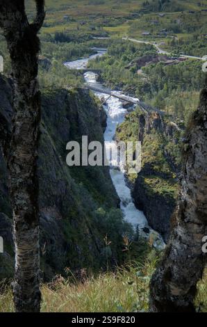 Cascade coulant dans une gorge profonde, entourée de verdure luxuriante. Banque D'Images
