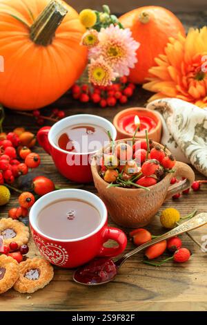 Tasses de Thé à la vapeur chaude et plantes d'automne on wooden table Banque D'Images