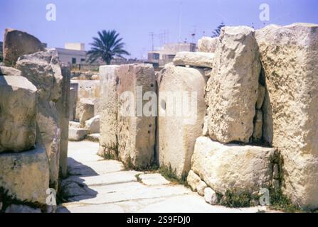 Temples néolithiques de Tarxien, site archéologique préhistorique, Malte, Europe 1971 Banque D'Images