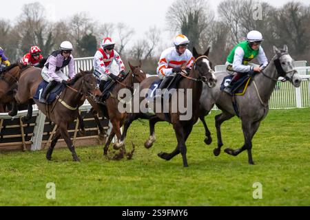 Windsor, Berkshire, Royaume-Uni. 19 janvier 2025. La Weatherbys Racing Bank handicap Race au Royal Windsor Racecourse à Windsor, Berkshire. Crédit : Maureen McLean/Alamy Banque D'Images