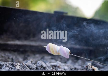 Guimauve sur un bâton étant rôti sur un charbon. Cuisson de guimauves colorées sur des charbons dans le gril. Pique-nique dans la nature, fond fumé. Banque D'Images