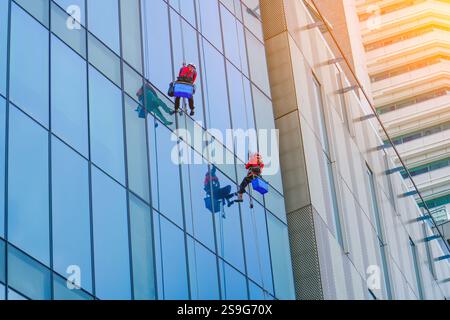 Travailler en hauteur. Alpinisme industriel, groupe de travailleurs nettoyant le service de vitres sur un immeuble de grande hauteur Banque D'Images