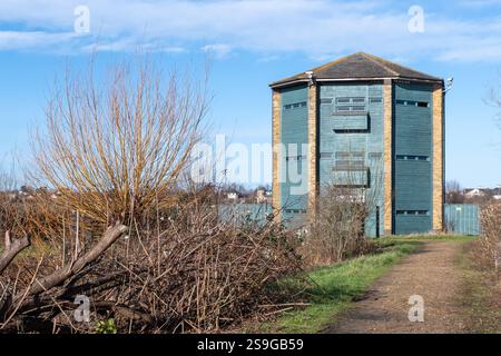 Vue du WWT London Wetland Centre avec la peau d'oiseau Peacock Tower, Barnes, Londres, Angleterre, Royaume-Uni Banque D'Images