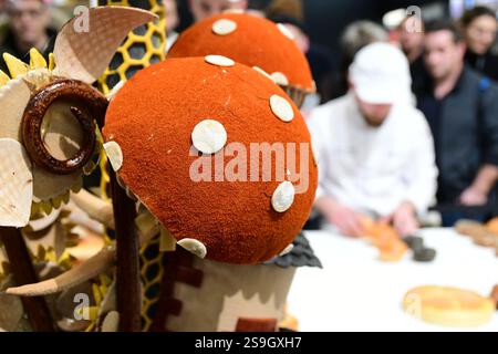 Pains et viennoiseries à la 17ème Coupe de France de la boulangerie au Sirha à Lyon. La 17e Coupe de France boulangerie au Sirha Lyon, qui s’est tenue du 23 au 25 janvier 2025, a rassemblé douze équipes régionales en compétition sur trois jours. L'événement a célébré l'excellence de la boulangerie française, avec l'équipe pays-de-la-Loire 2 émergeant comme gagnante, mettant en valeur l'accent mis par le concours sur les compétences artisanales et la diversité régionale. (Photo Romain Doucelin / SOPA images/SIPA USA) Banque D'Images