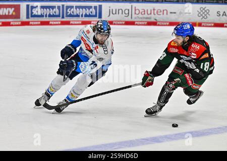 IM Duell Wojciech STACHOWIKA (ERC Ingolstadt #19) und Anthony LOUIS (Augsburger Panther #18) / zweikampf / DEL : Augsburger Panther - ERC Ingolstadt, Curt Frenzel Stadion AM 26.01.2025 Banque D'Images