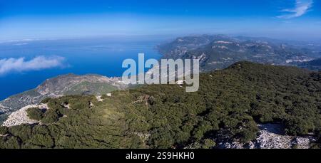 Forêt de chênes indigènes de la chaîne de montagnes Tramuntana, forêt de Planícia, frontière entre les municipalités de Banyalbufar, Esporles et Puigpunyent. Majorque, Îles Baléares, Espagne. Banque D'Images
