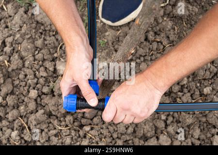 Fixation et raccordement de tuyaux HDPE avec un raccord. Un homme installe un système d'irrigation goutte à goutte automatique pour son jardin. Banque D'Images