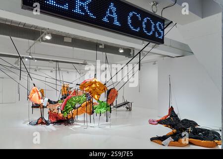 Accident, Helena Vinent, Fundación Joan Miró, Barcelone, Catalogne, Espagne. Banque D'Images